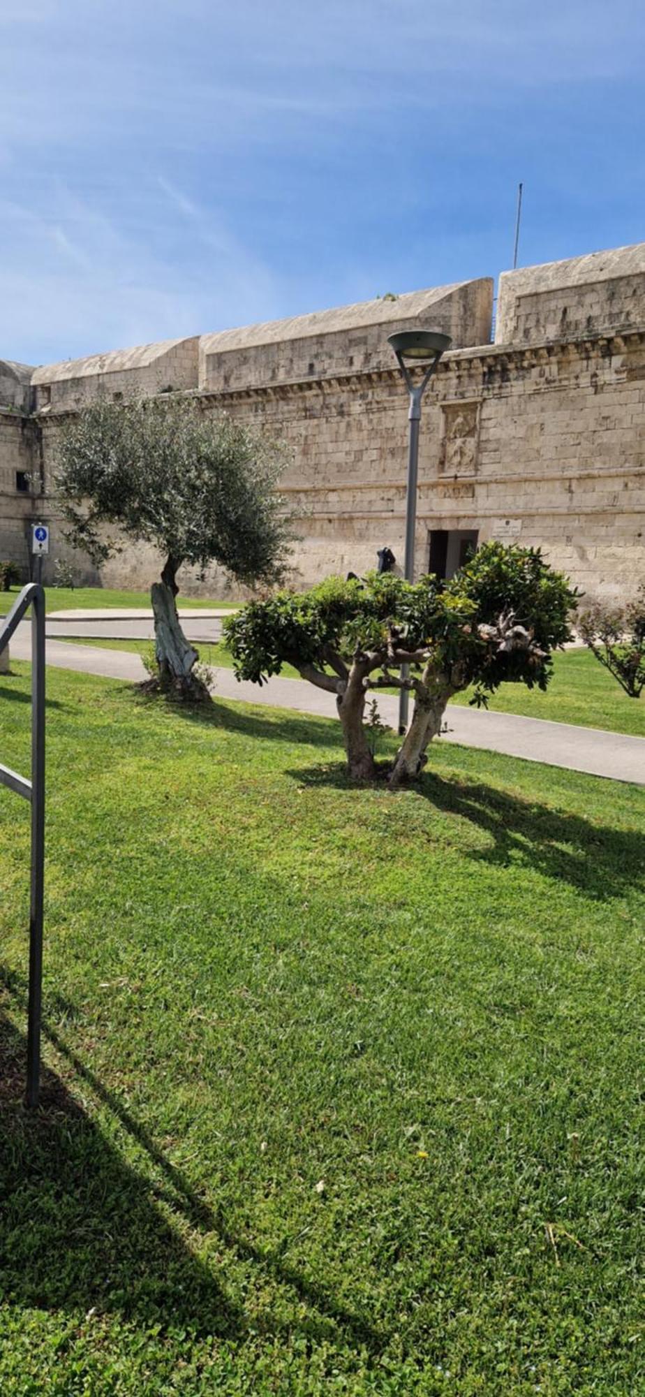 Md House Civitavecchia Exterior foto